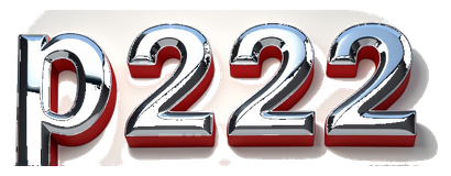 p222 logo